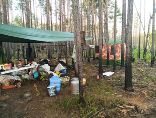 Сезон 2015 г. Кемерово