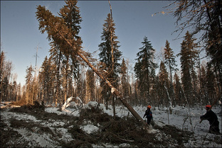 Долгий рубль 