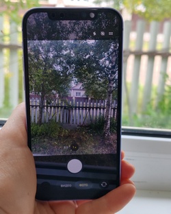 Август