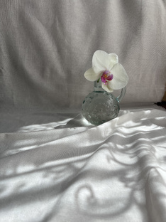 Больница🏥орхидейная 