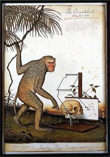 Лекции по Теории эволюции