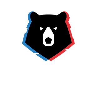 Чемпионат России по футболу