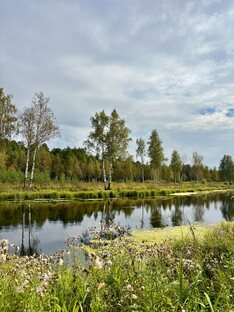 Парки Петербурга и пригородов