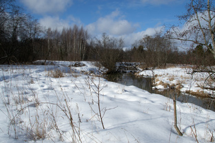 Мобильный «Тонус»