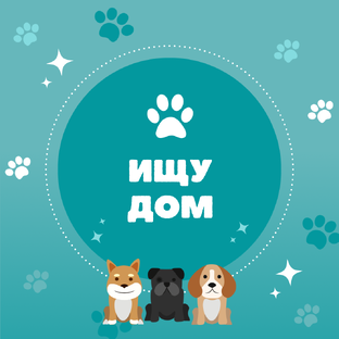 Ищу дом
