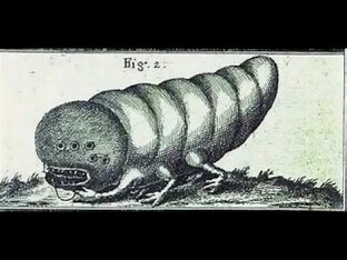 Божественные технологии