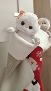 Лили и Басик