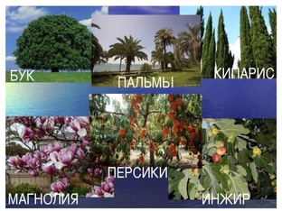 журнал всего самого лучшего