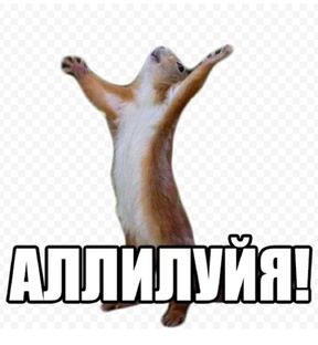 200 пд✨✨🤗🥳