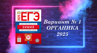 Разбор Добротина 2025 - ОРГАНИКА