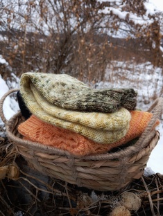 "Носки для родни*2024