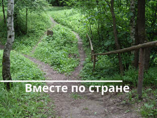 Города