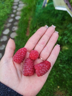 Всё что связано с природой.. 