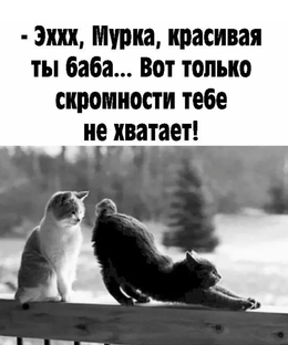 Шушпанчики