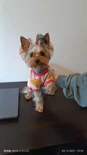 Животный мир 