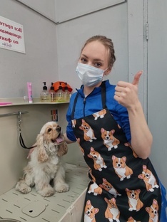 Рабочий день грумера 😜❤️