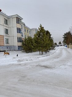 Наши прогулки.