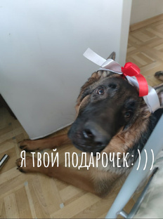 Шерлок