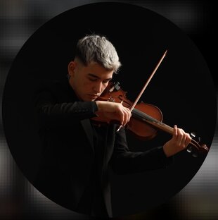 THEVIOLINIST 