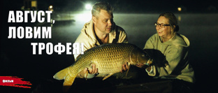 Ловля карпа