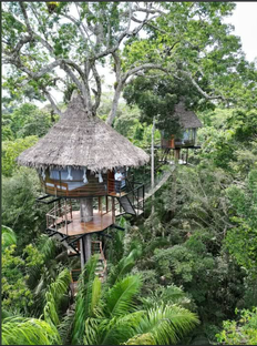 экзотические блюда