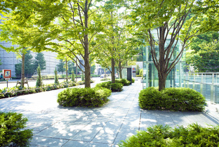 ПОЛЕЗНЫЕ СОВЕТЫ И ЛАЙХАКИ