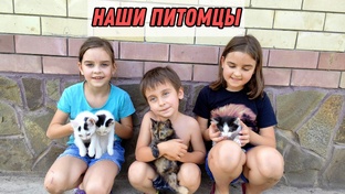 Истории о наших питомцах