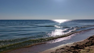 Мои стихи...