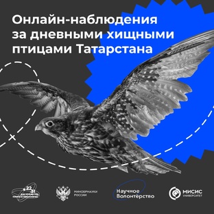 Хочу помочь проекту