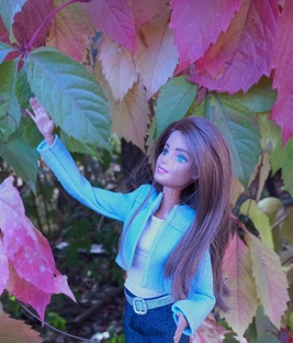 Кукла месяца и сезона