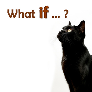 Conditionals - Условные предложения.