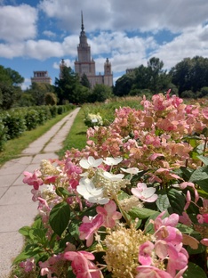 Ботанический сад МГУ им. Ломоносова в Москве