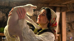 Обзоры на новинки турдизи