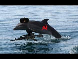 Ветка "Обо всем"