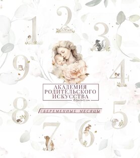 #беременные_месяцы