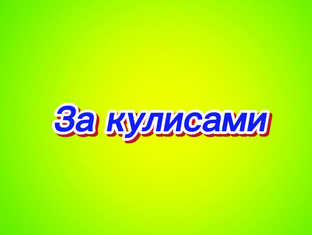 Наша жизнь с енотами
