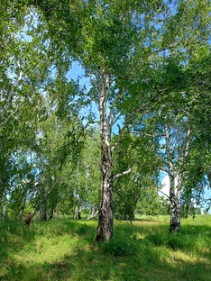 Дорожная зарисовка