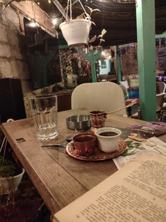 Из Боснии в Сербию