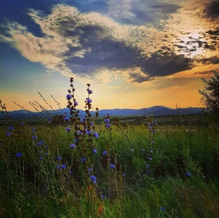 ДальневосТочно