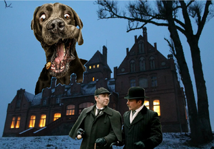 По следам "Собаки Баскервилей"