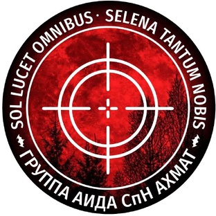 Группа Аида, книга 1. Проклятый лес.