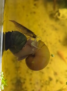 Подводный мир