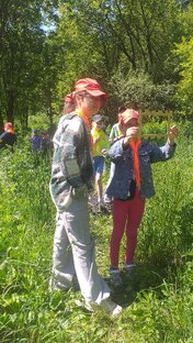 Начало реализации проекта "Серебрянский лес-место для чудес"