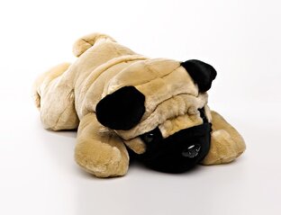 История Матвея