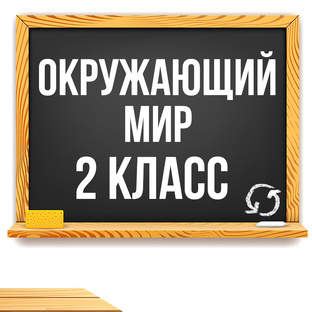 Окружающий мир 2 класс