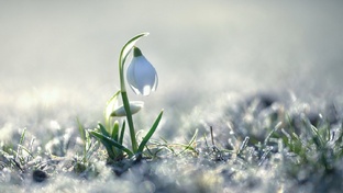 пам пам пам