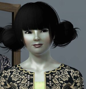 Sims 3 Династия Кота