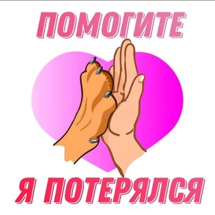 Потеряшки🆘