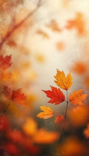 Обои на телефон