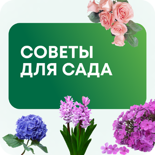 Уникальные советы для вашего сада 